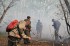 Третий с начала года лесной пожар зарегистрирован на Камчатке