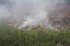 Ликвидирован лесной пожар в Быстринском районе Камчатки