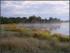 В Псковской области туристов отправят в болото
