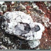 Выходы лавы, фото Дмитрия Соломенского