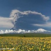 Пепловый шлейф от вулкана Ключевская сопка