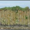 Орлов камень возле острова Беринга